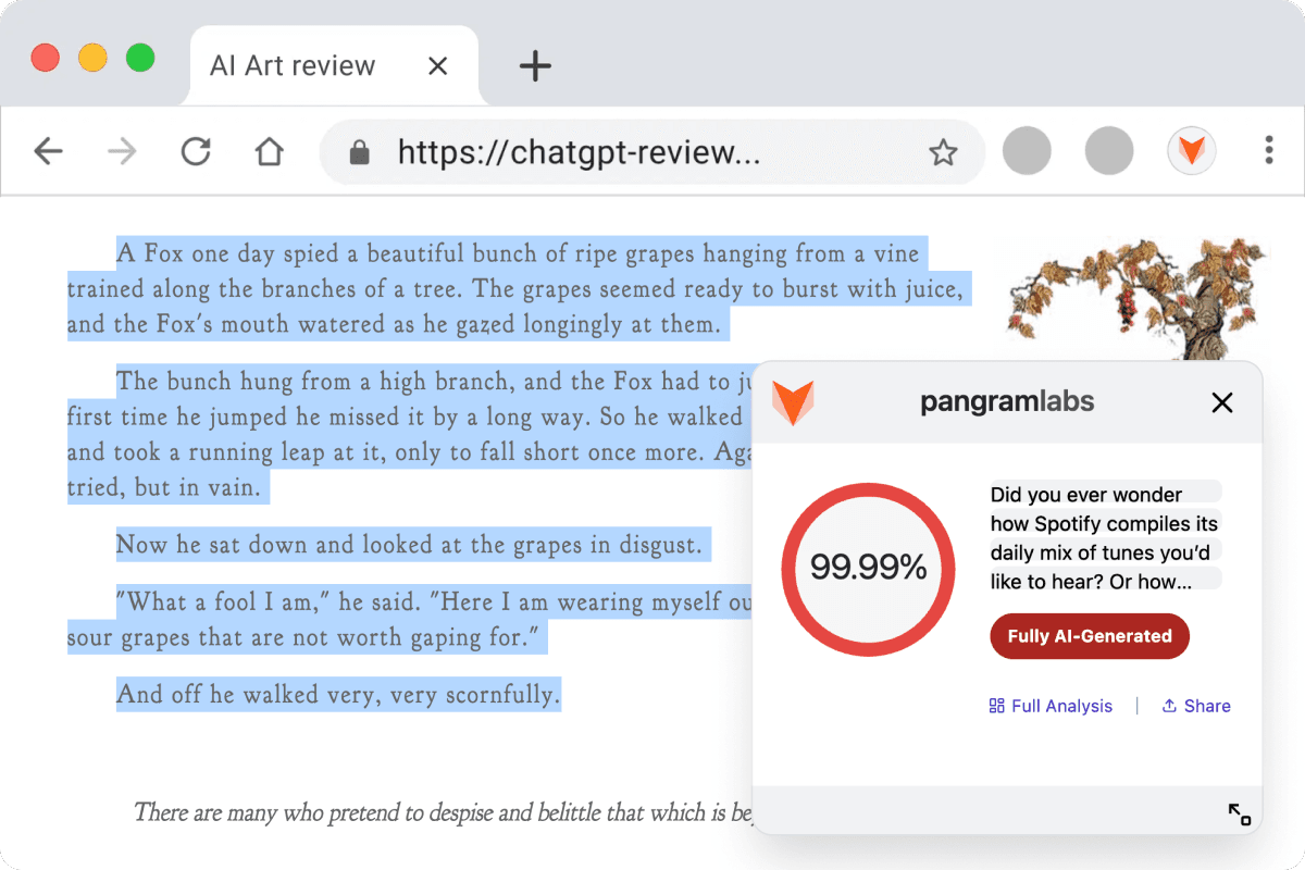 instruction for chrome plugin.