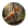 A small fox